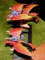 DSCF5786_cr