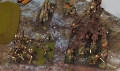 IMG_20250201_142644_CR