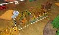 IMG_20250201_155026_CR