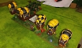 IMG_20250202_110631_CR