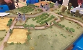 IMG_20250201_121439_cr